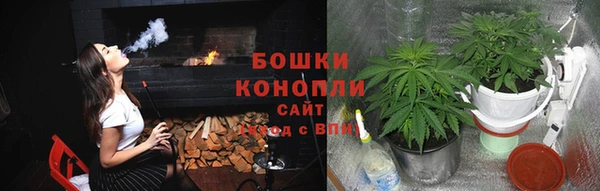 ешки Алексин