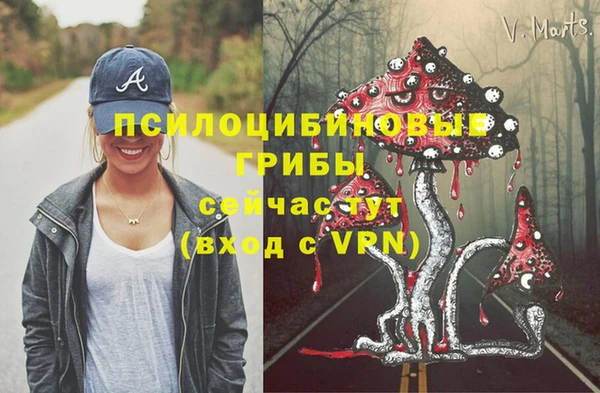 ALPHA PVP Протвино