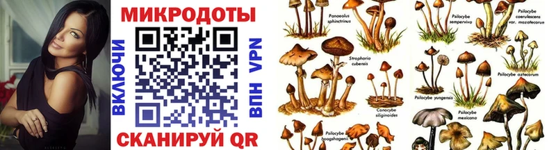 закладка  Билибино  Галлюциногенные грибы ЛСД 